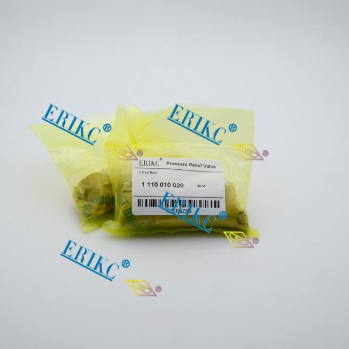 Válvula de descarga de presión común del carril de 1110010020 BOSCH (3).jpg