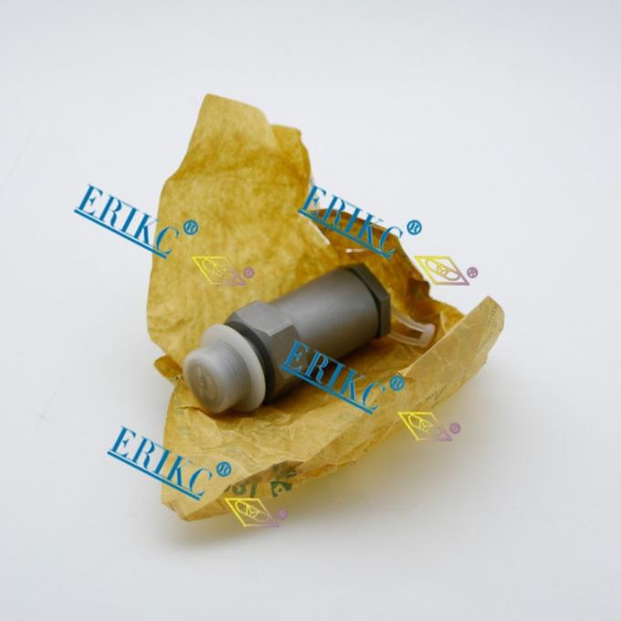 1110010020 carril común valve.jpg