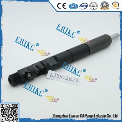 EJBR0 2501D fuel injector manufacture EJBR02501D and EJB R02501D
