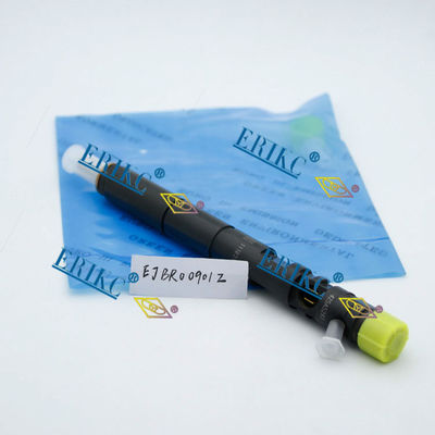HYUNDAI EJBR00901Z del-phi injector EJB R00901Z del-phi injector parts EJBR0 0901Z KIA