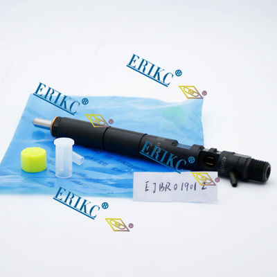 EJBR01901Z del-phi common rail injector EJB R01901Z daf injector pump EJBR0 1901Z