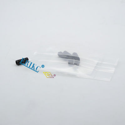 Valve Spring E1022009 Top Quality Valve Springs and Heavy duty Valve Spring set