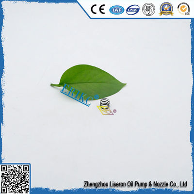 Diesel engine parts F00RJ01006 Valve Spring Kit Set F00R J01 006 and F 00R J01 006