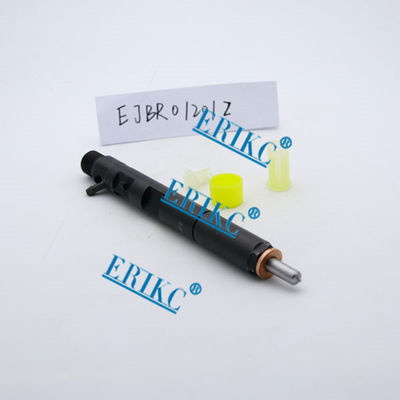 NISSAN delphi common rail injector EJBR01201Z and new injector EJBR0 1201Zfuel injectors delphi EJB R01201Z for NISSAN