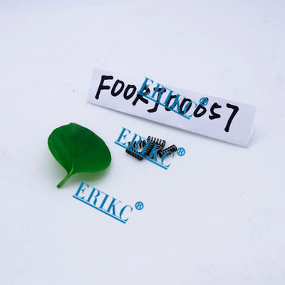 FOOR J00 657 valve spring set  F00RJ00657 electric solenoid valve F 00R J00 657 for solenoid valve F00RJ02697