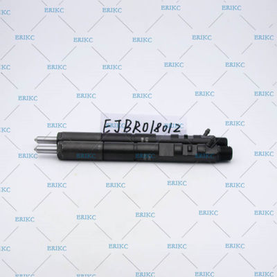 high pressure injector For Delp EJBR01801Z (8200049873) injektor diesel EJB R01801Z / EJBR0 1801Z for NISSAN For Renau