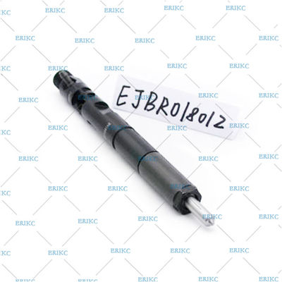 high pressure injector For Delp EJBR01801Z (8200049873) injektor diesel EJB R01801Z / EJBR0 1801Z for NISSAN For Renau