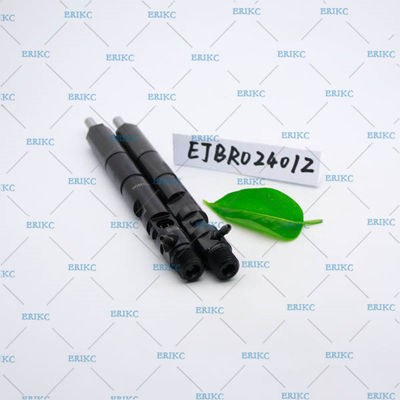 EJBR02401Z For Delp injector EJB R02401Z injector ejbr EJBR0 2401Z For Delp common rail injectors for KIA