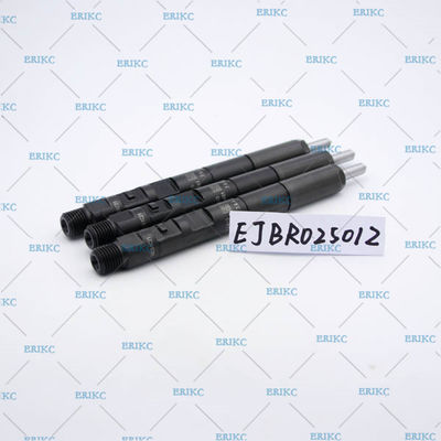 delphi diesel injector EJBR02501Z delphi common rail injector EJB R02501Z original delphi injector EJBR0 2501Z