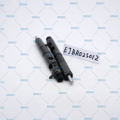 delphi diesel injector EJBR02501Z delphi common rail injector EJB R02501Z original delphi injector EJBR0 2501Z