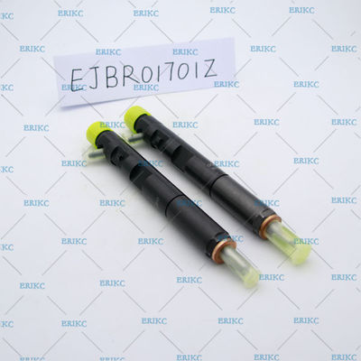 for Renault injector delphi EJBRO1701Z diesel fuel injector EJB RO1701Z for sale 1701Z  delphi  injector