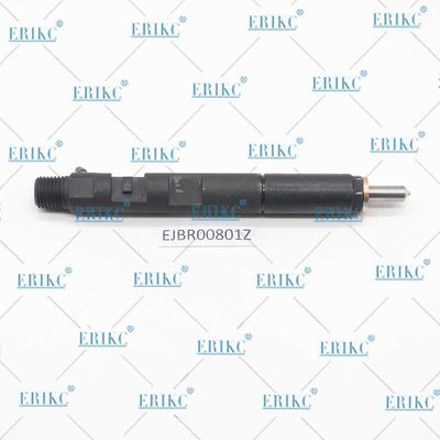 ERIKC EJBR00801Z Diesel Engine Injection EJB R00801Z Fuel Unit Injector EJBR0 0801Z For Delp