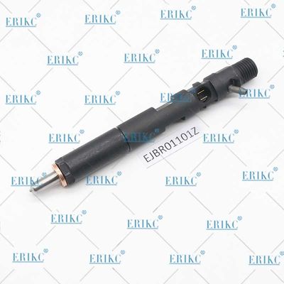 ERIKC EJBR01101Z Electronic Unit Injectors EJB R01101Z Auto Fuel Injection EJBR0 1101Z For Delp