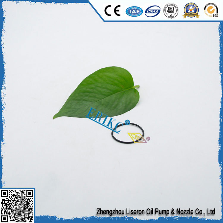 O'RING DRV  F00RJ00220 BOSCH with o-ring section F00R J00 220 / F 00R J00 220