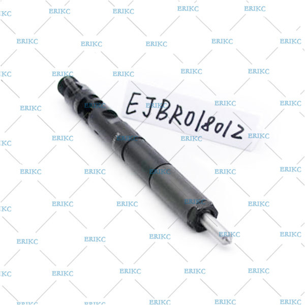 high pressure injector For Delp EJBR01801Z (8200049873) injektor diesel EJB R01801Z / EJBR0 1801Z for NISSAN For Renau