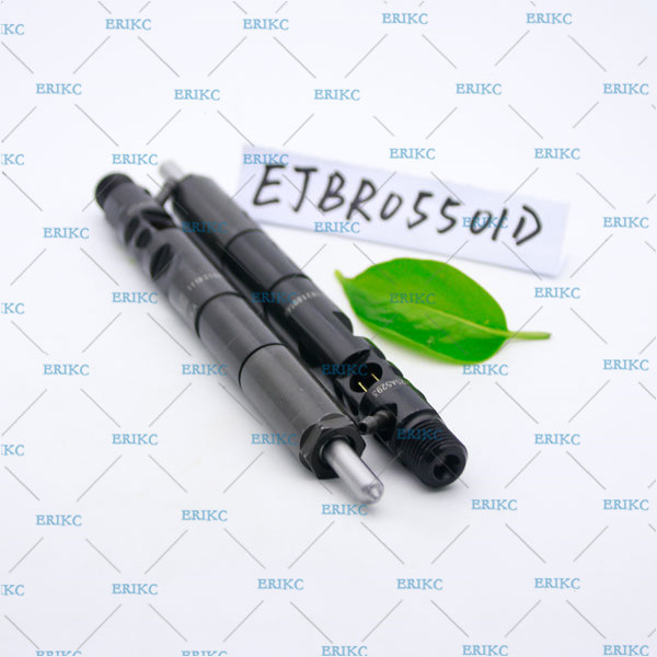 Hyundai/KIA for Renault EJBR05501D (33800-4X450) del  injector R05501D (338004X450) original injector 5501D 33800 4X450