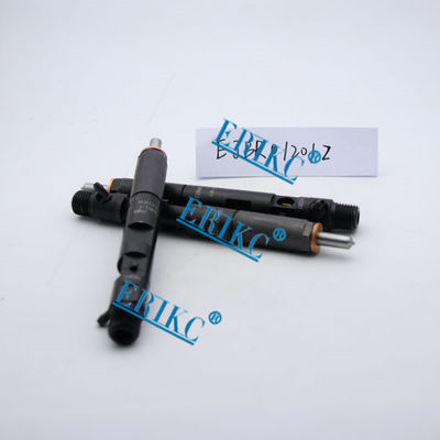 Inyector común EJBR01201Z del carril de NISSAN Delfos y nuevos inyectores Delfos EJB R01201Z del inyector EJBR0 1201Zfuel para NISSAN proveedor