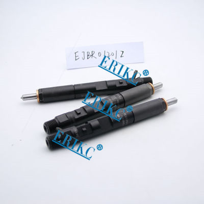 Inyector común EJBR01201Z del carril de NISSAN Delfos y nuevos inyectores Delfos EJB R01201Z del inyector EJBR0 1201Zfuel para NISSAN proveedor